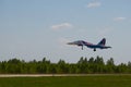 Jet MiG-29 air group aerobatics `Strizhi` comes to landing