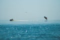 Jet ski silhouette, extreme entertainment, vacation at sea,