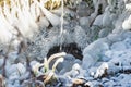 Jet of water falls down into small puddle covered with ice Royalty Free Stock Photo