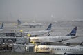 JetBlue airplanes stacked at JFK gates during snowstorm Royalty Free Stock Photo