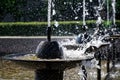 Jets of cool water from a city fountain in hot summer sunny weather. Stopped water. Contrast and close-up