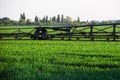Jets of liquid fertilizer from the tractor sprayer Royalty Free Stock Photo