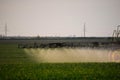 Jets of liquid fertilizer from the tractor sprayer Royalty Free Stock Photo