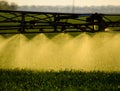 Jets of liquid fertilizer from the tractor sprayer Royalty Free Stock Photo