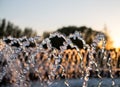 Jets of water in the fountain on a blurred background. Fountain closeup at sunset
