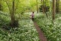 Jette, Brussels Capital Region Belgium - Mother and child walking through the woods with a broad-leaved Garlic carpet field