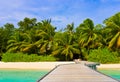 Jetty, beach and jungle