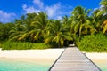 Jetty, beach and jungle