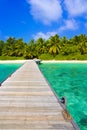 Jetty, beach and jungle