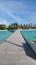 Jetty of an island with palmtrees on the background. Royalty Free Stock Photo