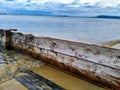 Jetty mooring on the mornington peninsula