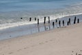 Jetty Laaiplek, Velddrif, West coast, South Africa.