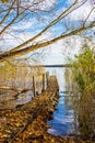 Jetty and tree on Lake Plau in the town of Plau am See, Germany Royalty Free Stock Photo