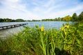 Jetty at Wesslinger See, FÃÂ¼nfseenland