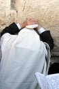 praying at the Western Wall in Jerusalem. Royalty Free Stock Photo