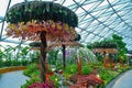 Jewel Changi Airport Canopy Park