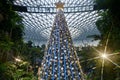 Jewel Changi Airport Christmas Tree 2023