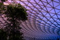 Jewel Changi Airport geometric rooftop canopy park, Singapore.