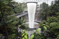 Jewel Changi Airport - Indoor waterfall surrounded by lush greenery & shopping mall