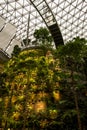 The Jewel, Changi Singapore Airport - Glass and steel roof, tropical garden Royalty Free Stock Photo