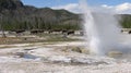 Jewel Geyser, Yellowstone National Park Royalty Free Stock Photo