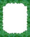 Jewel shamrock border frame Royalty Free Stock Photo