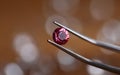 Jeweler in workshop holds pink stone in tweezers Royalty Free Stock Photo