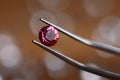 Jeweler in workshop holds pink stone in tweezers Royalty Free Stock Photo