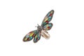 Jewelery, and metal butterfly brooch isolated on white