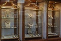 jewelery shop-window in Milan Royalty Free Stock Photo