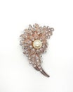 Jewellery Brooch Royalty Free Stock Photo