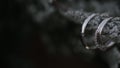 Silver Wedding Rings iOn a winter tree with snow macro closeup shoot diamon Jewellery