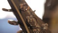 Gold Wedding Rings macro closeup on the guitar diamon Jewellery