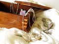 In the Jewelry Box, Timeless Heirlooms Royalty Free Stock Photo