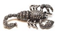 Jewelry brooch in the form of a beetle scorpion