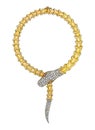 Jewelry design diamond set with bone snake gold necklace.