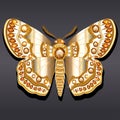 gold butterfly brooch pendant in precious stones. Beautiful decoration with reflection