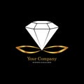 Jewelry logo design. White Diamond resting on a golden infinity symbol