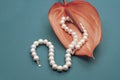 Jewelry, Necklace made of pearl white and brilliant Royalty Free Stock Photo