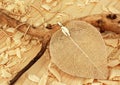 Jewelry pendant, shape of leaf, on wooden sawdust background Royalty Free Stock Photo