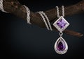 Jewelry pendant witht gem amethyst on twig, dark background