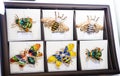 Jewelry retail showcase desplay defferent brooches