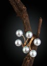 Jewelry ring with pearl on twig, black background