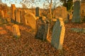 Jewisch cemetery, Stare mesto pod Landstejnem. Royalty Free Stock Photo