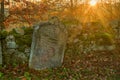 Jewisch cemetery, Stare mesto pod Landstejnem. Royalty Free Stock Photo