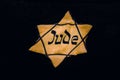 Jewish badges or Jewry star Royalty Free Stock Photo