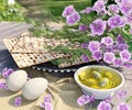 Jewish celebrate pesach passover with eggs,olive, matzo and flowers