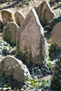 Jewish cementery, town Trebic UNESCO, the oldest Middle ages settlement of jew community in Central Europe, Moravia, Czech