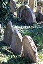 Jewish cementery, town Trebic UNESCO, the oldest Middle ages settlement of jew community in Central Europe, Moravia, Czech