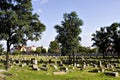 Jewish Cemetery 2